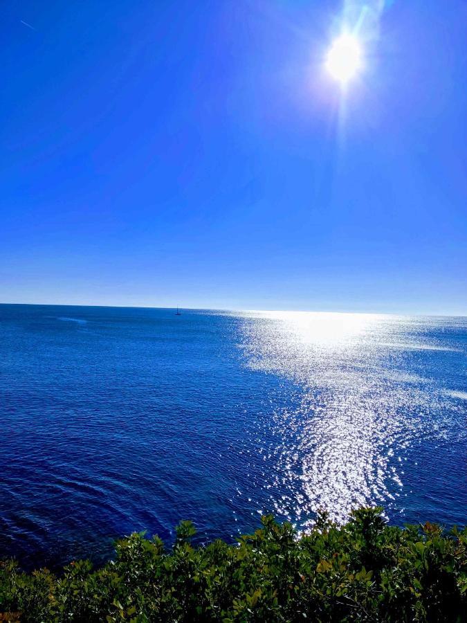 Apartmán Perla De Mar L'Ametlla de Mar Exteriér fotografie